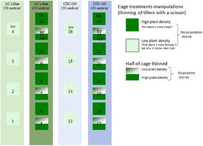 Effect of Plant Density on Wheat Stem Sawfly Sex Ratio